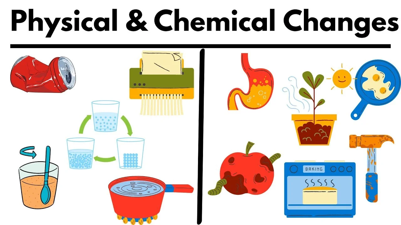 2. Physical and Chemical Changes